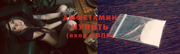 гидра Бородино