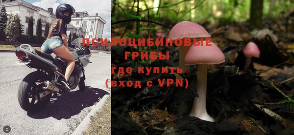 хмурый Верхний Тагил