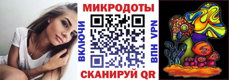 Псилоцибиновые грибы Cubensis  Гагарин 